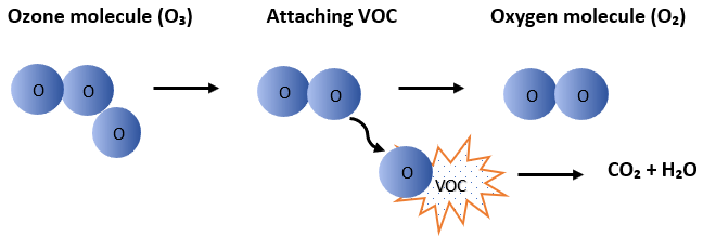 VOC tamadasa en